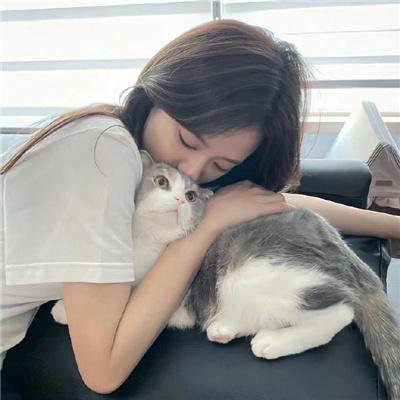 朵儿的战争