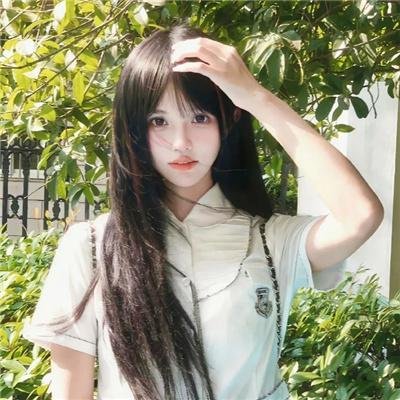 来自法国的玫瑰